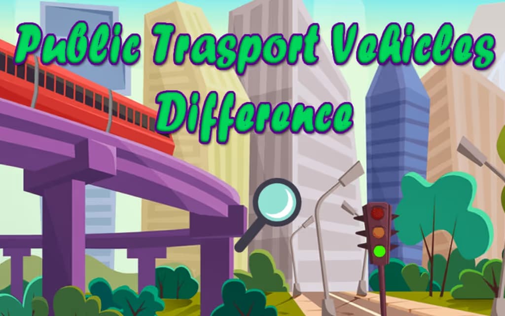 Public Transport Vehicles Difference