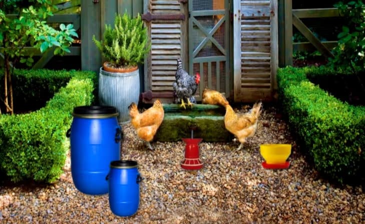 Poultry Farm Easter Escape