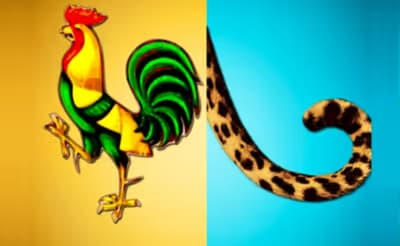 2 pics 1 word