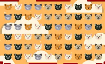 Cute Kitty Match 3