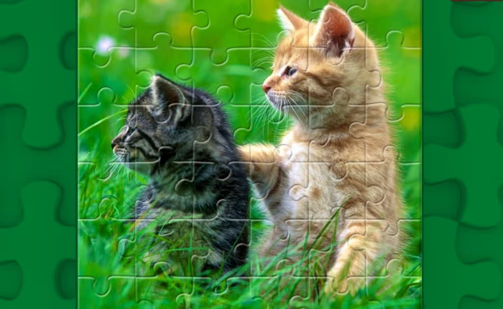 Funny Kitty Puzzle