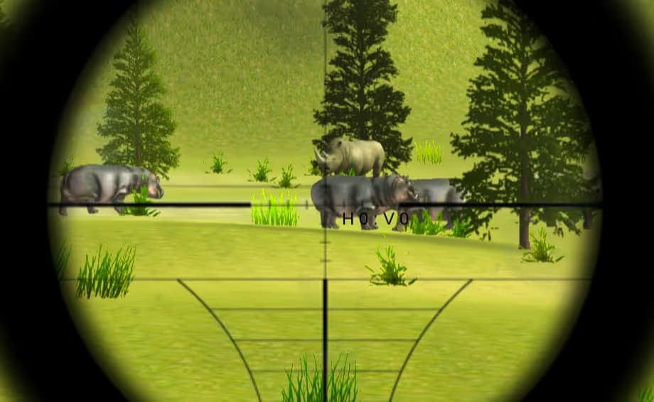 Classical Hippo Hunting