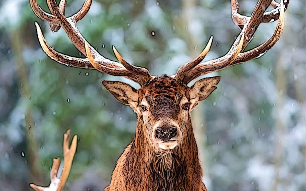 Hunter