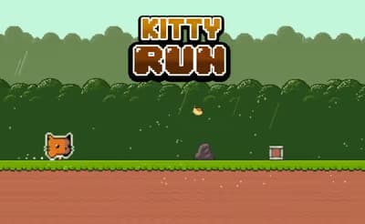 Kitty Run