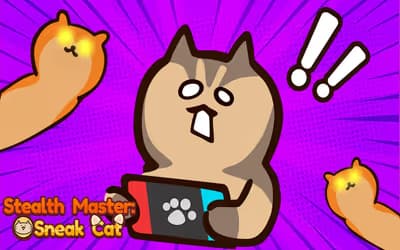 Stealth Master Sneak Cat